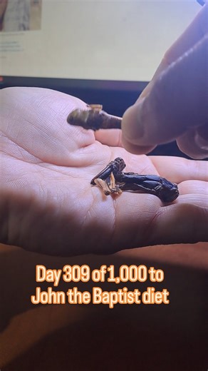 Day 309 of 1,000 to John the Baptist diet | Holy Locust