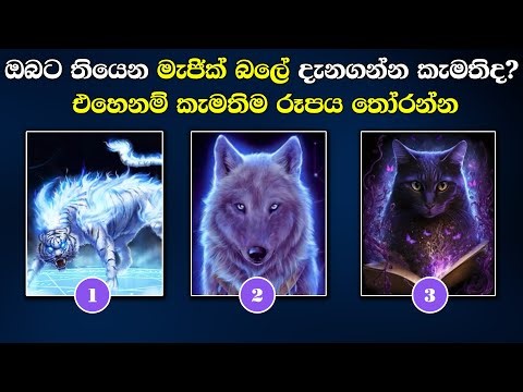 What Kind of Magic Do You Have?