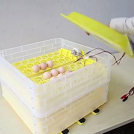 🐣Automatic Egg Incubator | Easy & Reliable Poultry Hatching🐣