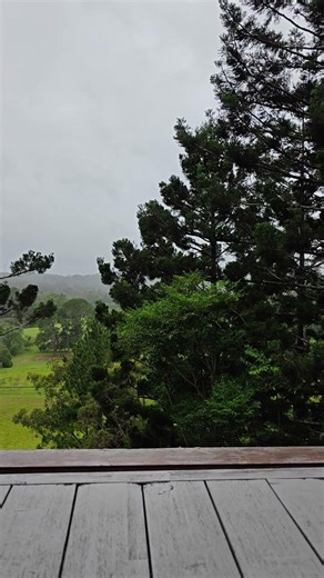 Weather like this 🖤📍 Springbrook, Queensland #springbrook #airbnb #vacation