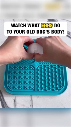 🥚 Raw vs 🍳 cooked eggs—what’s better for your dog? Award-winning actress and dog lover Katherine Heigl has something to say about what your dog really needs in their diet. The truth might just lead to a happier, healthier pup! Take a look 👉 lnk.to/QztoOS | Katherine Heigl