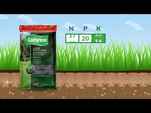 How to Choose Golfgreen Lawn Fertilizer (2 Steps)