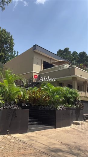 Celebrating One Year with Bambee in Uganda