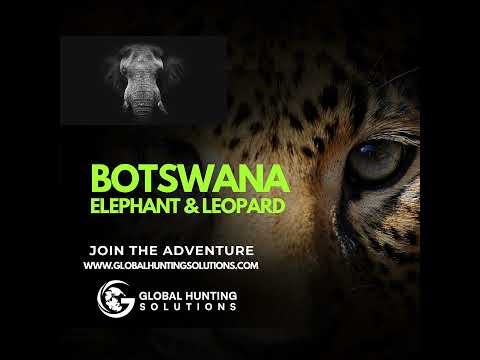 Botswana Hunting Safari