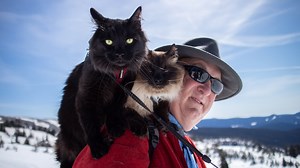 Adventure cats blaze new trails in Oregon’s great outdoors