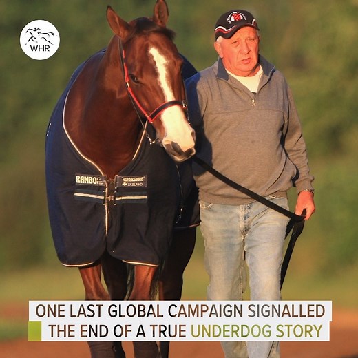 20 years ago, Takeover Target entered the world. 🎯🇦🇺 What a fairytale racing story... | World Horse Racing