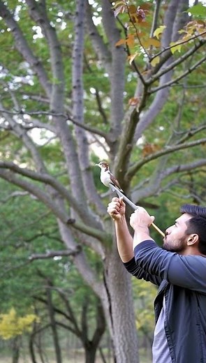 Mastering the Art of Traditional Hunting – Blowgun Skills in Action!