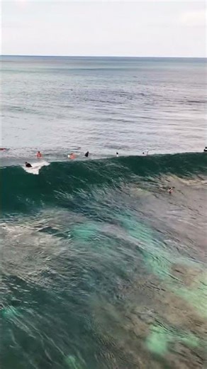 Body surfer in action!!! Skin on water #bodysurfing #surfers #surfing #oahu #hawaii #northshore