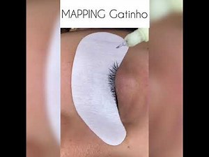 MAPPING Gatinho