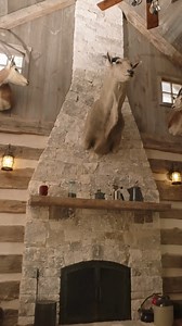 Ox Ranch guarantees an unforgettable escape, providing the perfect blend of modern indulgences and rustic sophistication in every cabin or home. Our goal is to ensure your comfort while savoring all the ranch has to offer. We eagerly await your visit! OX RANCH OFFICE- (830) 275-4962 OX RANCH ADDRESS- 1946 Private Rd 2485, Uvalde, TX 78801 . . . #cabinvibes #luxury #luxurylifestyle #rustichome #ranchlife #texas | Ox Hunting Ranch