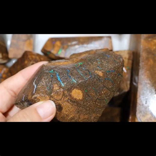 2500g Boulder Opal Rough Parcel Not for the faint-hearted ,this one’s for the pros. Color bars, potential fire, and serious weight. Cutters, are you ready to unlock the magic? Check this out in sedaopals.opalauctions.com Item no 1618146 4950 usd less 10% discount #BoulderOpal #OpalRough #GemCutting #sedaopals #opalauctions #fyp #goviral #viralvideo | Seda Opals | Facebook