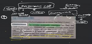 THE FIVE KINGDOMS general characteristics of the five kingdoms ... | Filo