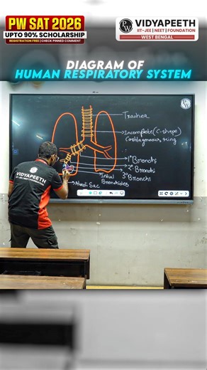 Human Respiratory System 🤯😱 #physicswallah #pw #shorts