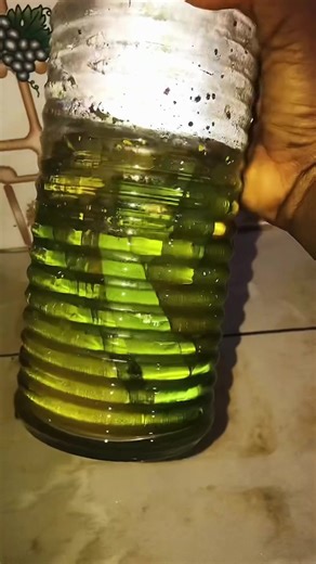 Effective Natural Remedies for Womb Health