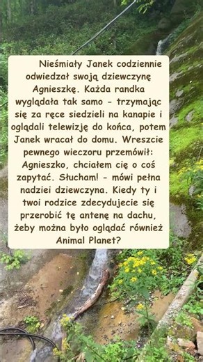 Nieśmiały chłopak i niespodziewana prośba o Animal Planet zamiast wyznania miłości