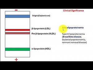 Lipoprotein Electrophoresis, Abetalipoproteinemia and broad beta disease