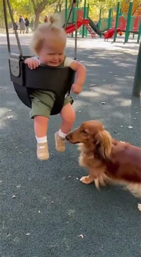 Teckel Nanny at the Playground 🐶👶🤣