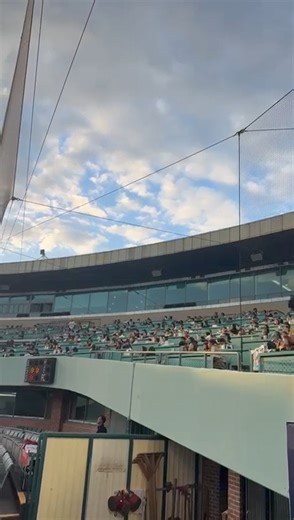 🔥 WHEN YOU PUT ON A SHOW, PEOPLE NOTICE Packed crowd. Big-league vibes. Aces baseball in the Ulsan-KBO Fall League! | Melbourne Aces