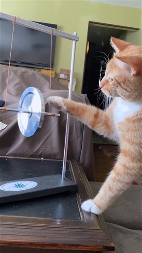5 cool science gadgets everyone should see 😎 #shorts