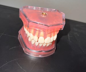 How to Floss Properly