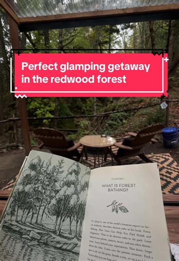 Experience a Serene Glamping Getaway in Northern California