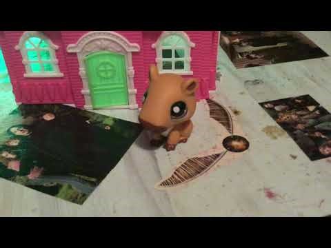 Year-End Announcement From Axol & Mayor (2025 FINALE)