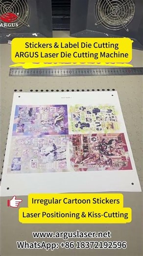 CCD Vision Positioning Laser Cutter — Flexible Half-Cut & Full-Cut | ARGUS LASER