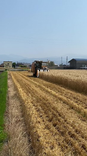 #ISEKI #HJ6130 #フルスモ