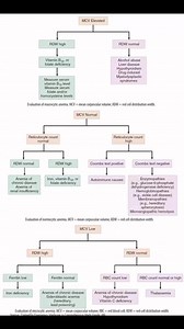 70K views · 314 reactions | Interpretation of CBC | MRCP UK | Facebook