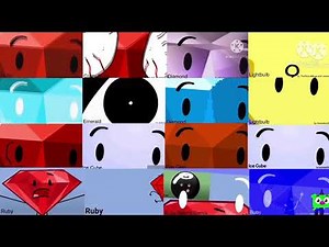 16 bfdi auditions reversed