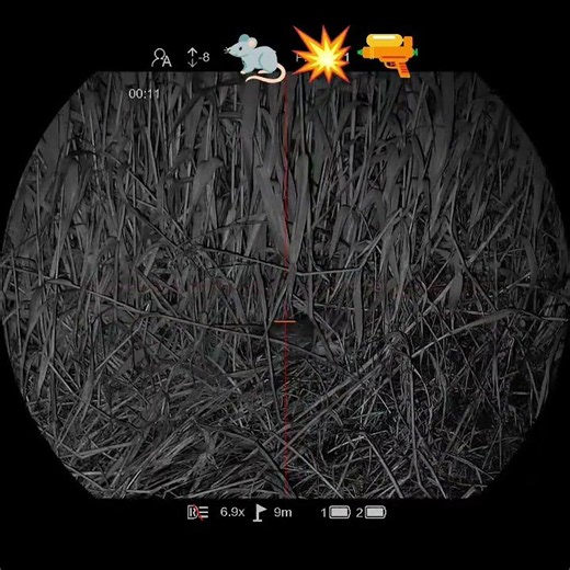 pest control rats 🐀 💥🔫 Pard Night Stalker 4k eX #vermincontrol #pestcontrol #rats #pard #nightvision