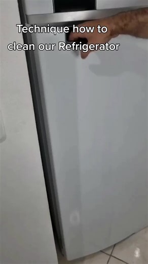 Effective Technique to Clean Refrigerator Seals