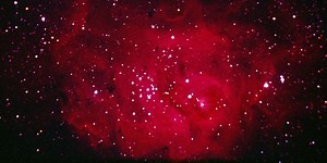 Always Making Plans In Your Friend Group? You Might Be A Cardinal Sign