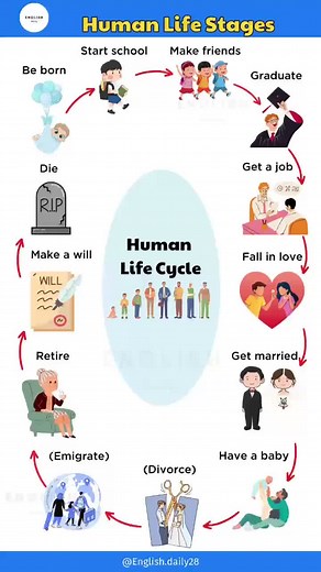 Understanding Human Life Stages: A Comprehensive Guide
