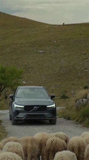 241K views · 3.3K reactions | When life blocks your path, it's good to have a backup plan. The refreshed Volvo XC60 plug-in hybrid. For life. | Volvo Cars | Facebook