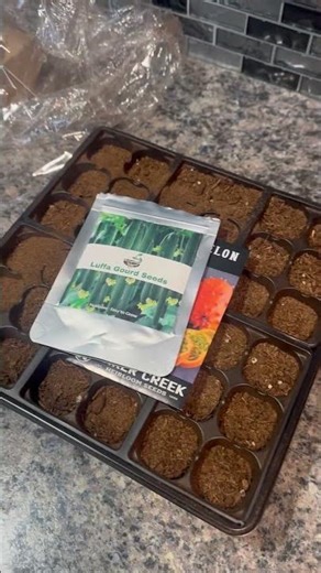 Prefilled Seed Starter