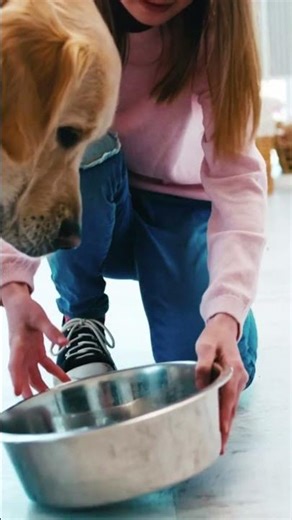 Unbreakable Bond ❤️ The Beautiful Connection Between Dogs and Humans 🐶