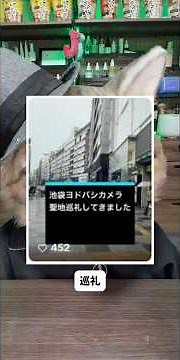 ヨドバシカメラ池袋で第7の脱糞事件が起きて犯人捕まったと聞いて見に行ったら、うんこじゃなくて別のものが出てて悲しむ猫ちゃん #ねこ #教育