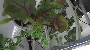 39K views · 291 reactions | Win a tower garden for your classroom!  They have been proven to:  Support science + math learning  Boost understanding of health and nutrition  Increase independence and social skills Enter to win here!  | WeAreTeachers | Facebook