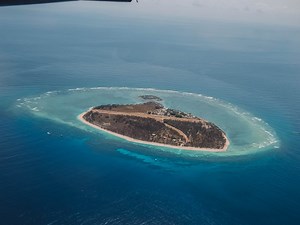 Review: Is a Day Trip to Lady Elliot Island Worth it?