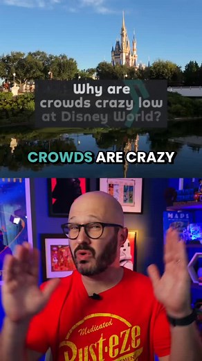 31K views · 1.2K reactions |  Why are crowds crazy low at Disney...