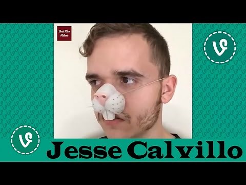 Jesse Calvillo VINES ✔★ (ALL VINES) ★✔ NEW HD 2016