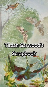 1.6K views · 52 reactions | ✨ “A thing of beauty...” ✨ In the...