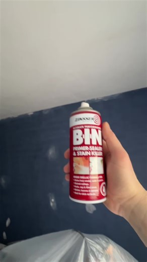 Transform Your Painting Process with Zinsser BIN & Cover Stain