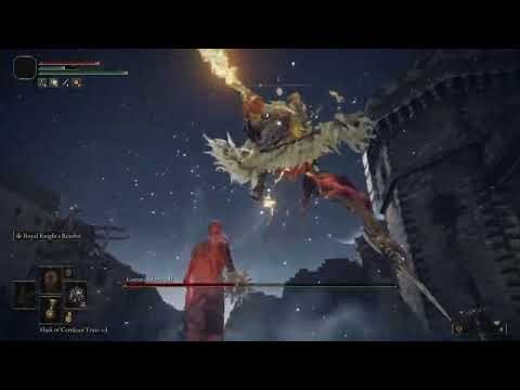 Commander niall-no hit lvl 1