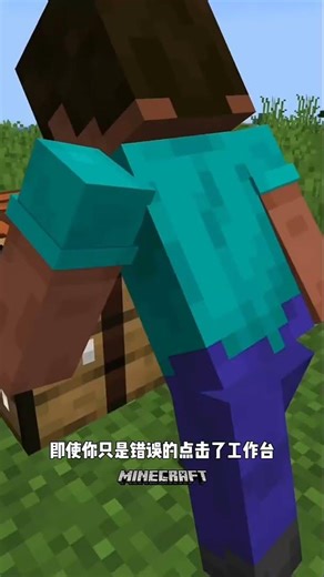 我在我的世界中添加了制作动画！