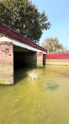 Jbl essential ✨💫flip2 bass test n water and river Jbl speaker