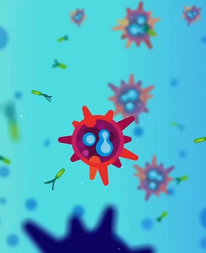 Exploring the Immune System: Biology Insights