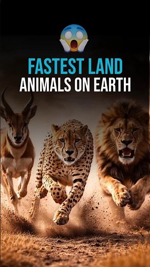 Fastest Land Animals on Earth