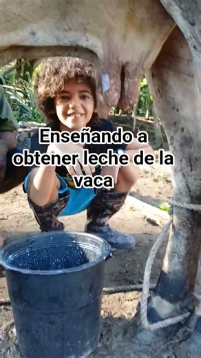 farm life, Sierra maestra cuba